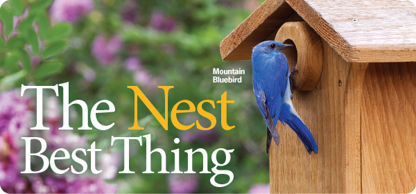 Nesting Sale