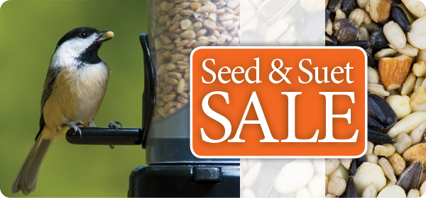 Summer Seed & Suet Sale