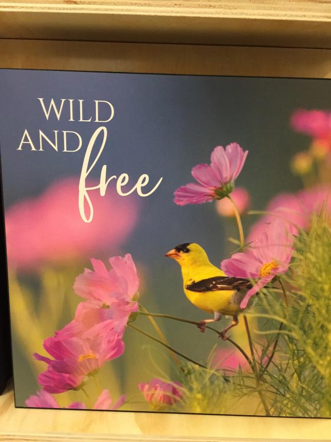 Wild Birds Unlimited - Nature Shop