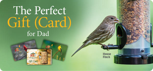 Wild Birds Unlimited - Nature Shop